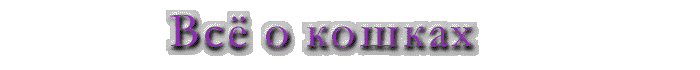 Все о кошках