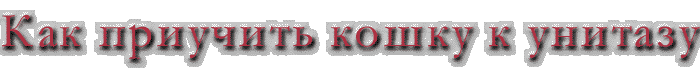 Как приучить кошку к унитазу